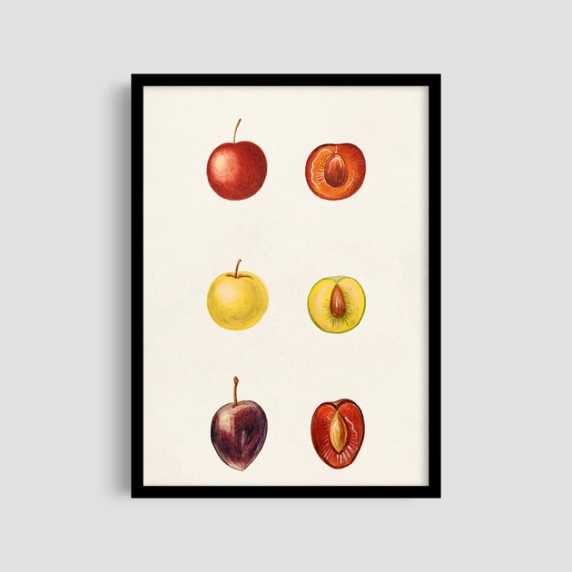 Постер Roomy "Apple Collection" Без рамки A3 (42x29.7 cm) - Фото 1 Постер Roomy "Apple Collection" Без рамки A3 (42x29.7 cm) - изображение 1