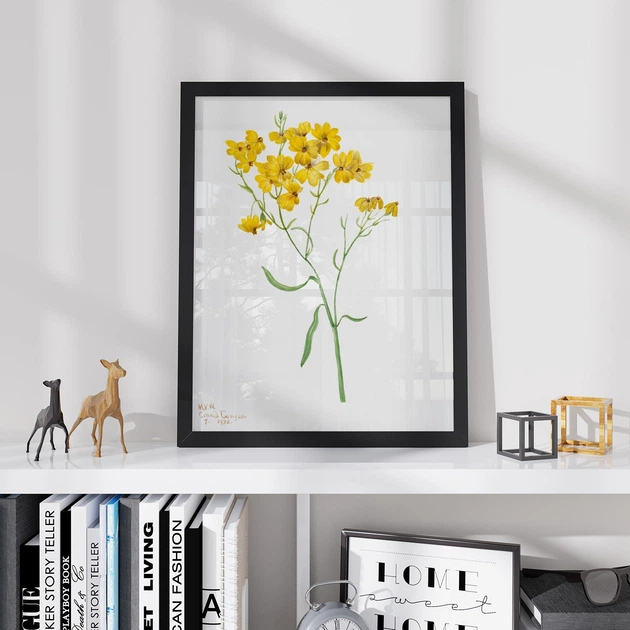 Постер Roomy "Yellow Blooms" Белая рамка с глянцевым стеклом A4 (29.7x21 cm) - Фото 3 Постер Roomy "Yellow Blooms" Белая рамка с глянцевым стеклом A4 (29.7x21 cm) - изображение 3