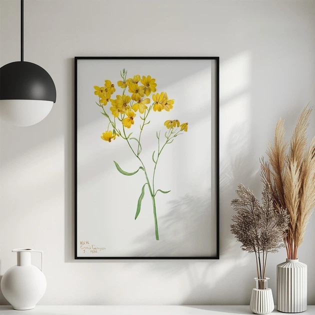 Постер Roomy "Yellow Blooms" Белая рамка с глянцевым стеклом A4 (29.7x21 cm) - Фото 5 Постер Roomy "Yellow Blooms" Белая рамка с глянцевым стеклом A4 (29.7x21 cm) - изображение 5