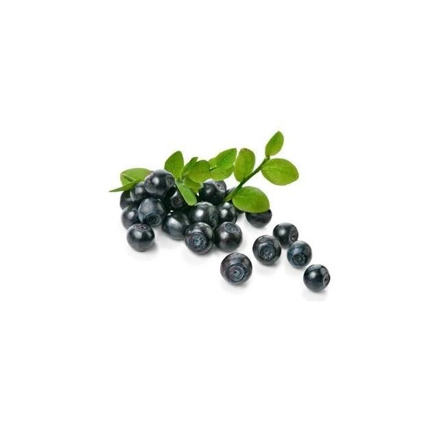 Ягодная паста LiQberry Черника 1 л - изображение 2