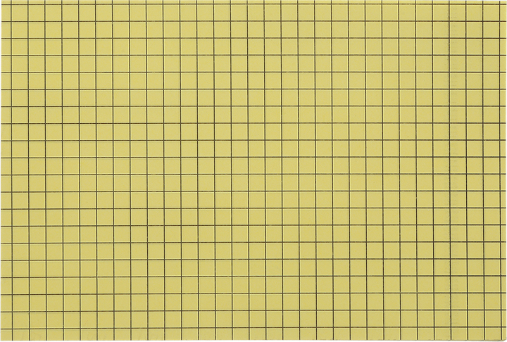Упаковка бумаги для заметок Buromax в клетку с клейким слоем 100x150 мм 100 листов х 2 шт Желтая (BM.2320-08.2) - Фото 3 Упаковка бумаги для заметок Buromax в клетку с клейким слоем 100x150 мм 100 листов х 2 шт Желтая (BM.2320-08.2) - изображение 3