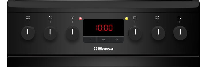 Плита Hansa FCCM58209H - изображение 5