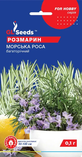 Насіння Розмарин 0,1г GL Seeds - Фото 1 Насіння Розмарин 0,1г GL Seeds - зображення 1
