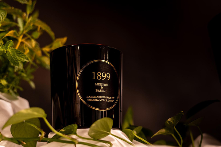 Ароматична свічка Cereria Molla Premium Menthe and Basilic 230 г (8424405066805) - зображення 3