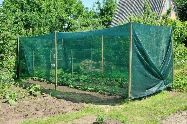Сітка затіняюча «Добра Сіточка» 60% 12 × 3 м – УФ-захист, тінь, вентиляція, універсальне застосування - зображення 7