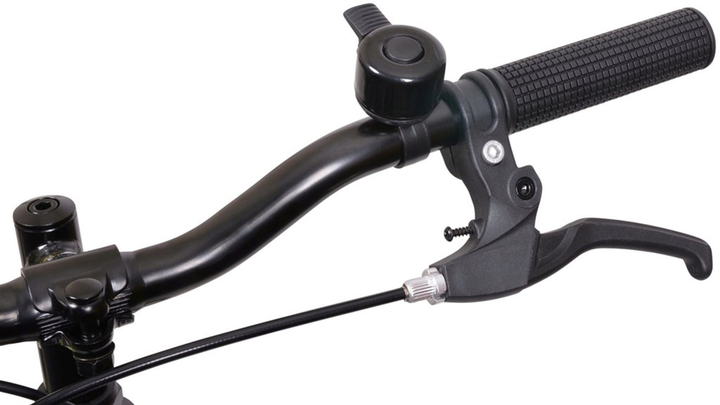 Rower dziecięcy Denver SCRAPPER XC24 1.9 24" (RD19461) - obraz 5