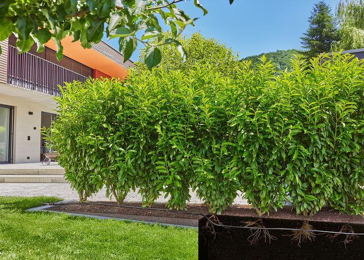 Набір для крапельного поливу Gardena Micro Drip System 50 м (13501-20) - зображення 4
