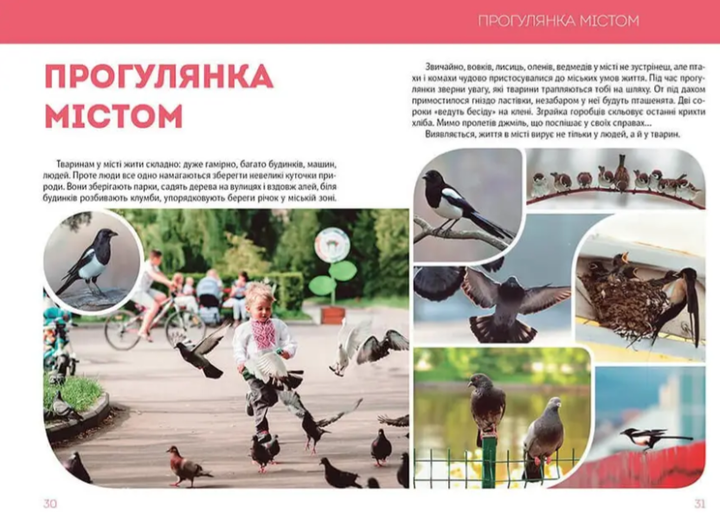 Велика книга про тварин Найкращий подарунок Талант - зображення 8
