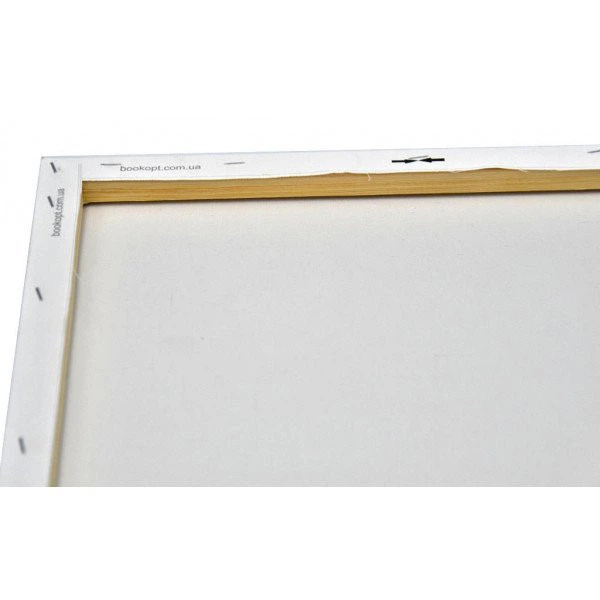 Картина по номерам Тигр Зодиак 40x50 см Brushme BS53691 - Фото 5 Картина по номерам Тигр Зодиак 40x50 см Brushme BS53691 - изображение 5