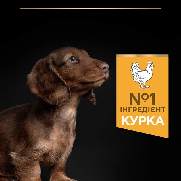 Purina PRO PLAN Small & Mini Puppy Healthy Start сухой корм для щенков мелких пород, с курицей 7 кг - Фото 5 Purina PRO PLAN Small & Mini Puppy Healthy Start сухой корм для щенков мелких пород, с курицей 7 кг - изображение 5