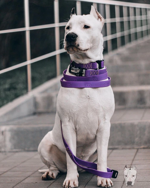 Ошейник COLLAR EVOLUTOR (КОЛЛАР ЭВОЛЮТОР) для собак средних и крупных пород с пряжкой из высокопрочного авиационного алюминия с площадкой для гравировки (специально для фанатов DOGPULLER) 25-70 см Фиолетовый (42439) - Фото 6 Ошейник COLLAR EVOLUTOR (КОЛЛАР ЭВОЛЮТОР) для собак средних и крупных пород с пряжкой из высокопрочного авиационного алюминия с площадкой для гравировки (специально для фанатов DOGPULLER) 25-70 см Фиолетовый (42439) - изображение 6