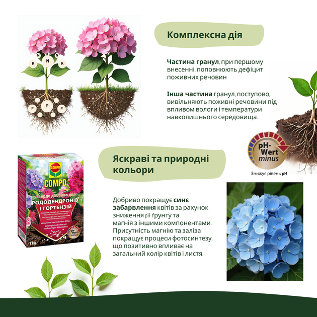 Твердое удобрение COMPO для рододендронов и гортензий 1 кг (4008398117955-1795) - изображение 4
