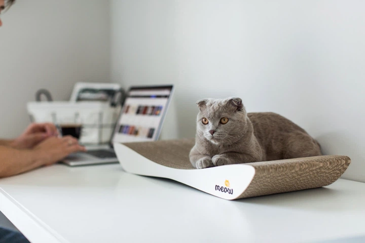 Драпак картон Say Meow Dream 57х7х24см - зображення 4