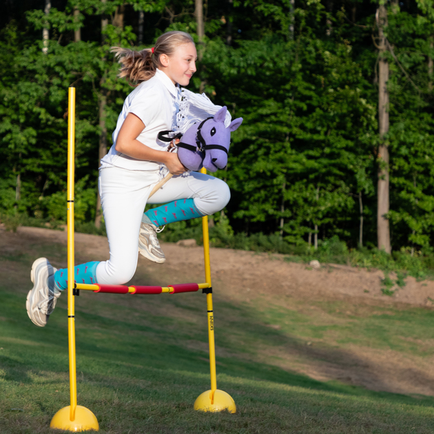 Кінь на палиці Hobby Horse Skippi З вуздечкою і віжками A5 Лавандовий (5906361450636) - зображення 13