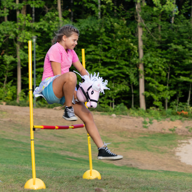 Koń na kiju Hobby Horse Skippi z kantarem i wodzami A5 Różowy (5906361450629) - obraz 13