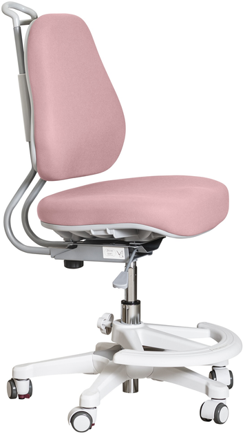 Дитяче крісло Evo-Kids Mio Ergo Lite Dark Pink (Y-507 Lite DP) від Rozetka на платформі USKIDKA Акція на Дитяче крісло Evo-Kids Mio Ergo Lite Dark Pink (Y-507 Lite DP) від Rozetka