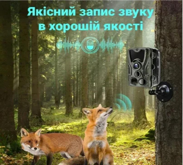 Фотоловушка Suntek Wi-Fi 801 PRO версия 36МП 4К до 256Gb с Bluetooth и удаленным управлением через приложение на смартфон - изображение 6
