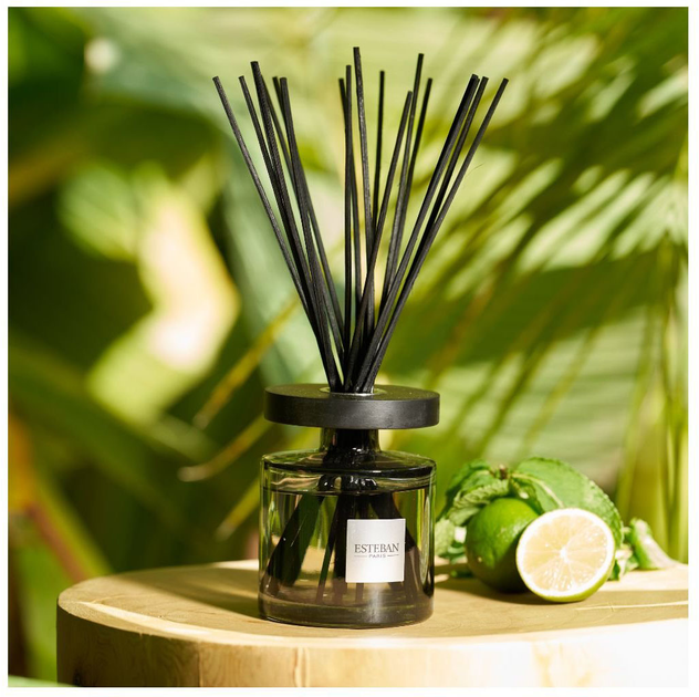 Наповнювач для дифузора Esteban Eau d'Amazonie 250 мл (3660963107139) - зображення 3