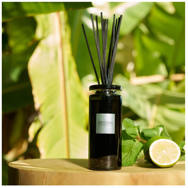 Наповнювач для дифузора Esteban Eau d'Amazonie 250 мл (3660963107139) - зображення 6