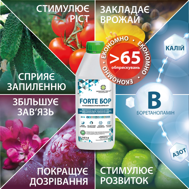 Удобрение Українські гумати FORTE БОР органическое в легкодоступной форме для подкормки бором, калием, азотом, комплексом микроэлементов и аминокислот, концентрат 1 л (1.3 кг) (4820219190356) 