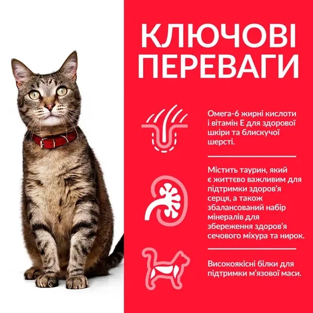 Сухой корм для взрослых кошек Hill's Science Plan Adult с ягненком 1.5 кг - Фото 5 Сухой корм для взрослых кошек Hill's Science Plan Adult с ягненком 1.5 кг - изображение 5