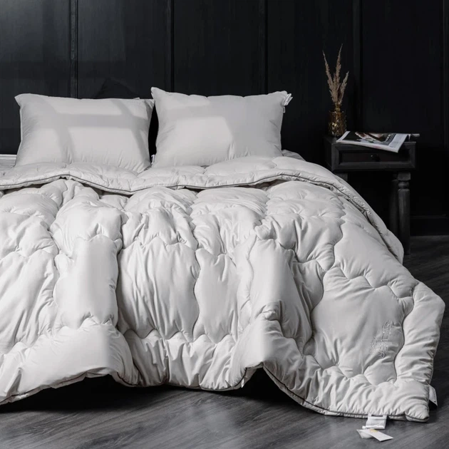 Одеяло MirSon антиаллергенное Дэми №1002 Silver Cloud EcoSilk 220x240 см (2200010352504) - Фото 6 Одеяло MirSon антиаллергенное Дэми №1002 Silver Cloud EcoSilk 220x240 см (2200010352504) - изображение 6