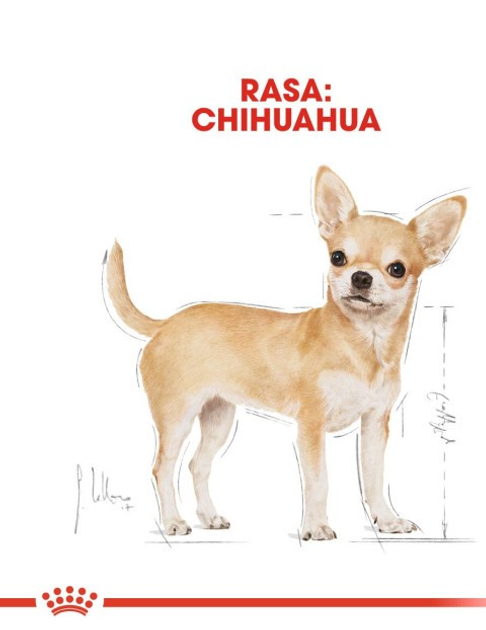 Opakowanie mokrej karmy dla psów Royal Canin Chihuahua 12 szt x 85 g (9003579001509) - obraz 8