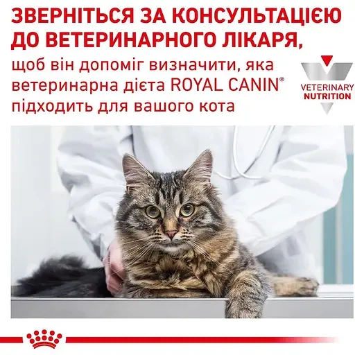 Дієтичний сухий корм Royal Canin Diabetic для дорослих котів при цукровому діабеті, 1.5 кг, 39060151. - изображение 6