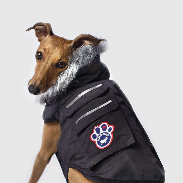 Kurtka dla psów Canada Pooch Hunter Everest Explorer Jacket 50 cm Black (0628284002758) - obraz 3