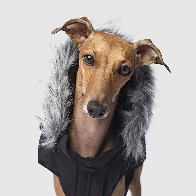 Kurtka dla psów Canada Pooch Hunter Everest Explorer Jacket 50 cm Black (0628284002758) - obraz 4