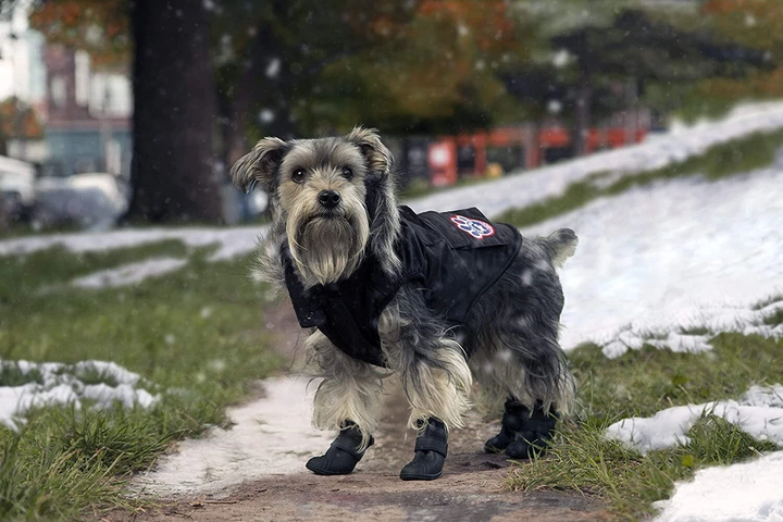 Kurtka dla psów Canada Pooch Hunter Everest Explorer Jacket 50 cm Black (0628284002758) - obraz 5