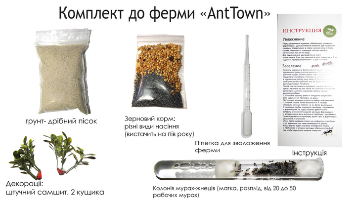 Мурашина ферма (формікарій) вертикальна AntTown чорна. Повний комплект для новачка - зображення 7
