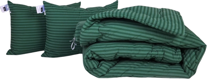 Набір MirSon №1046 Сolor Fun Line Ковдра зимова Двоспальна 172х205 см 17-0612 Stripe Emerald з евкаліптовим волокном + Дві подушки 50x70 см від Rozetka на платформі USKIDKA Акція на Набір MirSon №1046 Сolor Fun Line Ковдра зимова Двоспальна 172х205 см 17-0612 Stripe Emerald з евкаліптовим волокном + Дві подушки 50x70 см від Rozetka