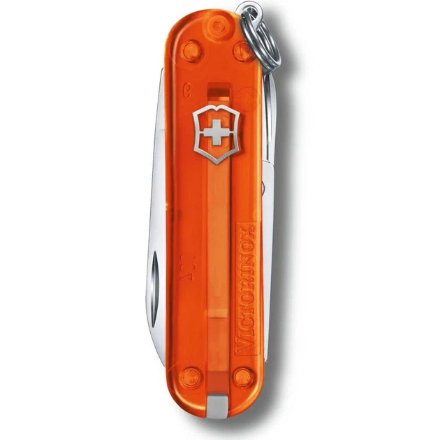 Швейцарський складаний ніж 58мм Victorinox CLASSIC SD Colors 0.6223.T82G - зображення 2