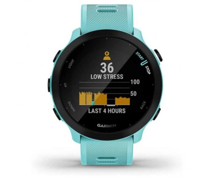 Спортивные часы Garmin Forerunner 55 Aqua (010-02562-12/02) - Фото 1 Спортивные часы Garmin Forerunner 55 Aqua (010-02562-12/02) - изображение 1