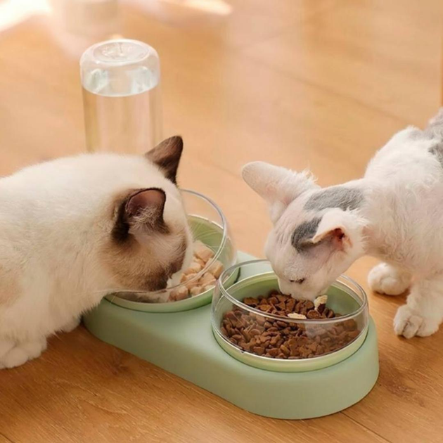 Кормушка 3в1 для животных со съемными мисочками Gatto миска для кошек и собак со встроенной поилкой, 500 мл, зеленый (101328929) - изображение 3