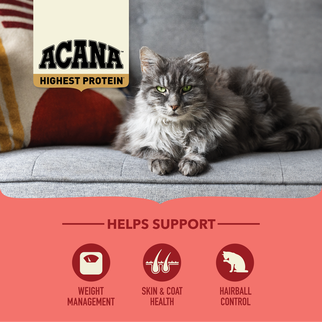 Сухий повнораціонний сухий корм для дорослих домашніх котів ACANA Highest Protein Indoor Cat Recipe з курятиною, 4.5 кг - зображення 6