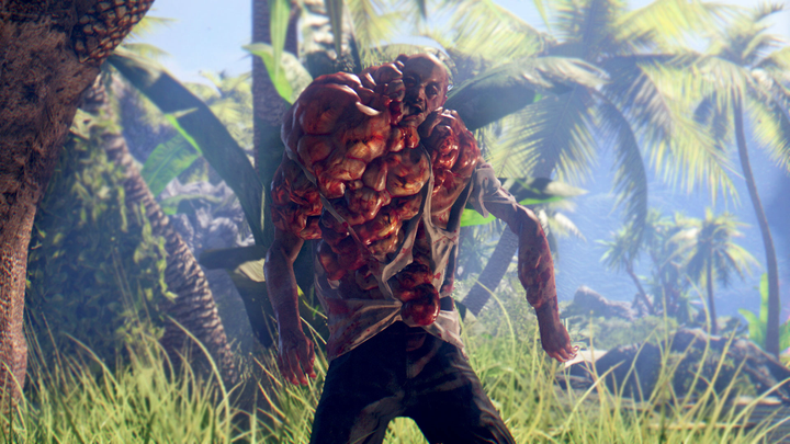 Gra PS4 Dead Island - Definitive Collection (Blu-ray płyta) (4020628844585) - obraz 8