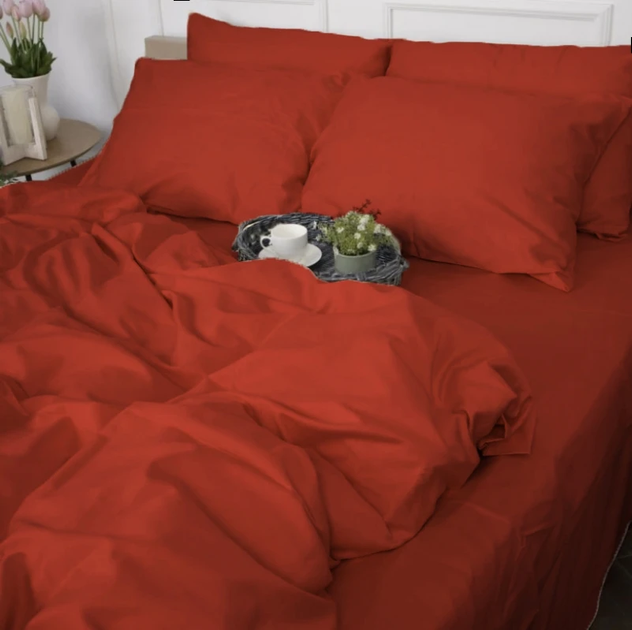 Простирадло MirSon Satin Premium 0081 Terracotta 220x240 см від Rozetka на платформі USKIDKA Акція на Простирадло MirSon Satin Premium 0081 Terracotta 220x240 см від Rozetka