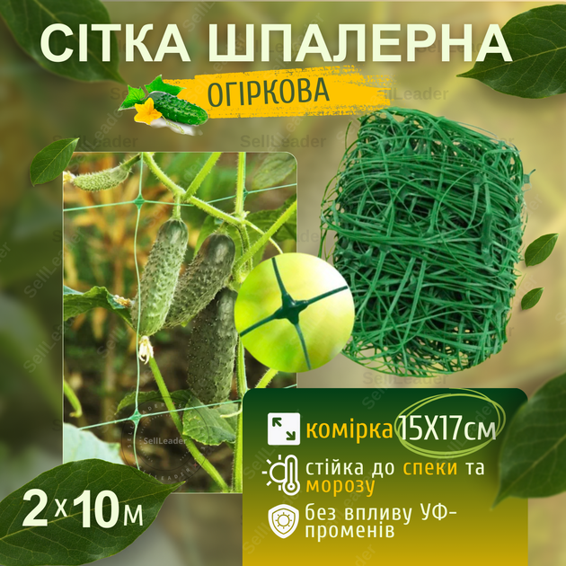 Сетка шпалерная 2х10м зеленая 15х17см Bradas для огорода виноградная защиты огурцов крупными ячейками - Фото 1 Сетка шпалерная 2х10м зеленая 15х17см Bradas для огорода виноградная защиты огурцов крупными ячейками - изображение 1