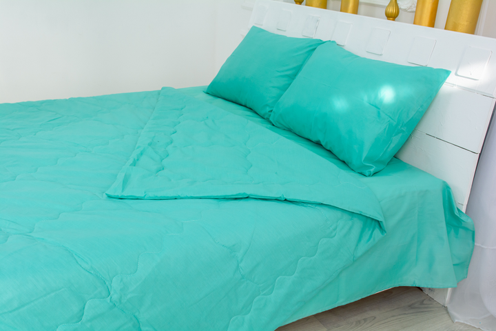 Літній постільний комплект MirSon №2417 Eco-Soft 11-2208 Mint ковдра 220х240 см + наволочки 2 х 50х70 см + простирадло 220x240 см від Rozetka на платформі USKIDKA Акція на Літній постільний комплект MirSon №2417 Eco-Soft 11-2208 Mint ковдра 220х240 см + наволочки 2 х 50х70 см + простирадло 220x240 см від Rozetka