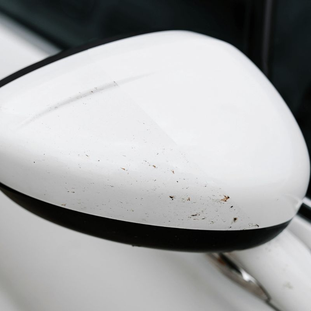 Środek czyszczący na pozostałości owadów K2 NUTA ANTI INSECT PRO 1 litr (D4011) (5906534019585) - obraz 3