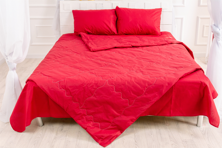 Літній постільний комплект MirSon №2569 BamBoo 19-1655 Edmonda Ковдра + 2 подушки 40x60 + 2 наволочки + простирадло від Rozetka на платформі USKIDKA Акція на Літній постільний комплект MirSon №2569 BamBoo 19-1655 Edmonda Ковдра + 2 подушки 40x60 + 2 наволочки + простирадло від Rozetka