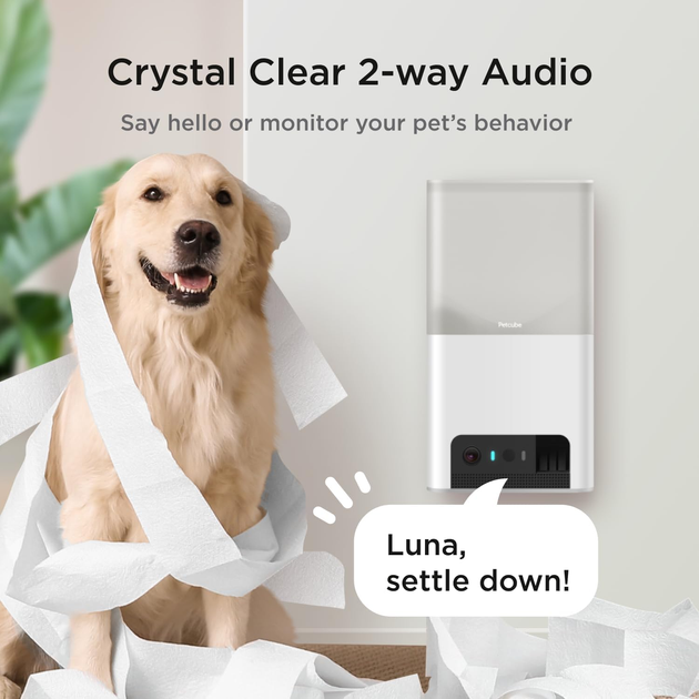 Interaktywna kamera dla zwierząt Petcube Bites 2 Lite z dozownikiem przysmaków Wi-Fi 1080p (0854592007387) - obraz 8