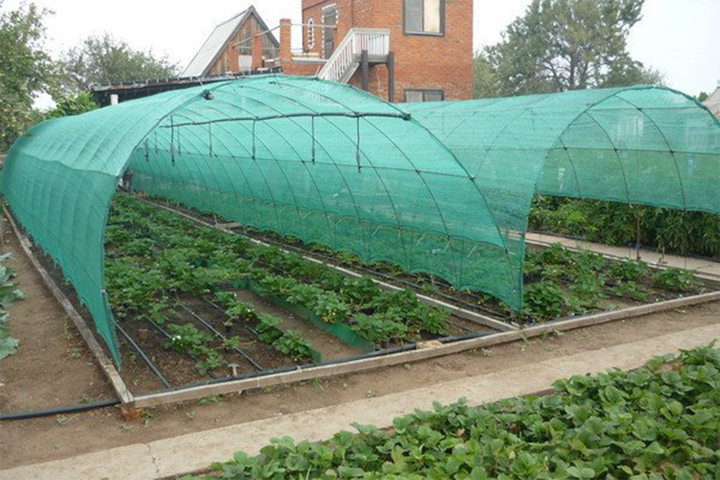 Сітка затіняюча Agreen 60% 12x50м. - зображення 3