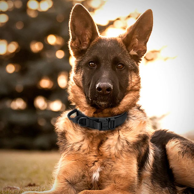 Тактический ошейник Primo DOG для собак, размер М (38-47см) - Black - Фото 5 Тактический ошейник Primo DOG для собак, размер М (38-47см) - Black - изображение 5