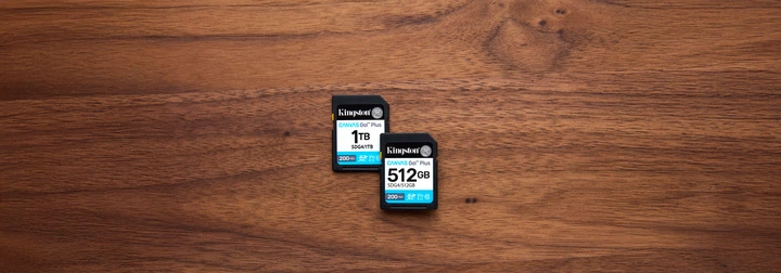 Карта памяти Kingston SDXC 256GB Canvas Go! Plus G4 Class 10 UHS-I U3 V30 (SDG4/256GB) - изображение 6