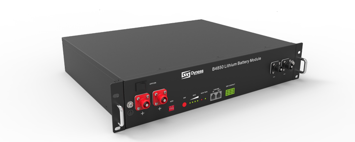 Аккумулятор Dyness B4850 - изображение 1