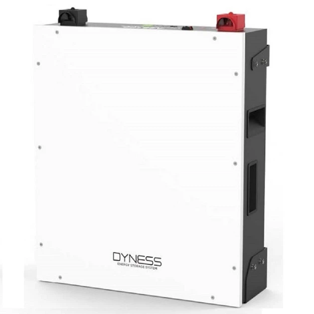 Аккумулятор DYNESS A48100 - Фото 1 Аккумулятор DYNESS A48100 - изображение 1
