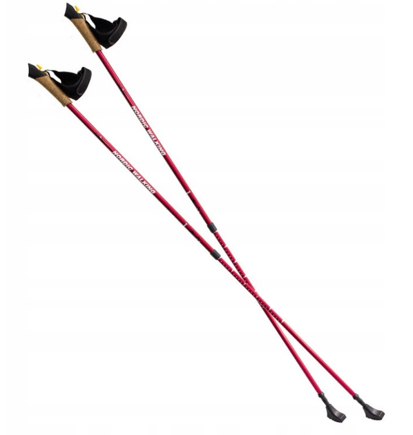 Kije do nordic walking Nils NW607 Cerwone (5907695581614) - obraz 1
